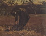 Vincent Van Gogh, Peasant Woman Digging Up Potatoes (nn04)